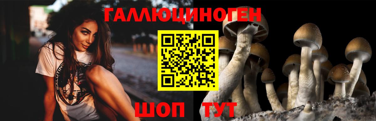 Псилоцибиновые грибы ЛСД  Вход с VPN  Малоярославец 
